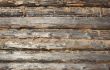 texture of wooden wall made of logs