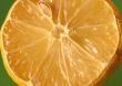 lemon details