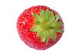 strawberry against white background