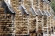 Old Brick Wall
