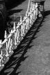 Fence With Shadow