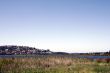 Sydney Suburb Landscape