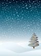 winter flurry