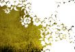 floral style backgrounds frame