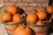 Pumpkins