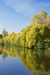 Park landscape