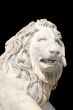 The Lion statue.