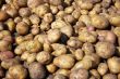 heap of new raw potatoes