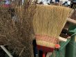 broomhead