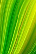 Absrtact lines