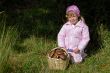 little girl with basket of mushrooms