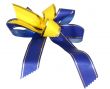 ribbon - isolated on white