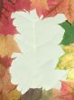 autumn frame
