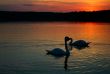 loving couple