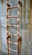 rusty ladder