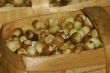 Hazelnuts