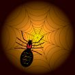 halloween spider