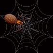 halloween spooky spider