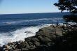 Visitor watching the tide from rocky perch