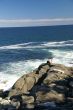 Visitor watching the tide from rocky perch