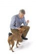Training the dog