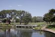 Little Bridge In Park