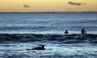 Surfers Paddling Out
