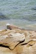 Ocean Rocks