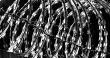 Razor wire
