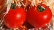 Two tomatoes