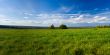 Beautiful summer landscape. The nature. Panorama