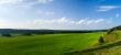 Beautiful summer landscape. The nature. Panorama