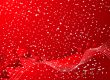 christmas tree abstract