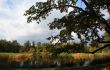 Colorful old autumn park