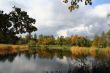 Colorful old autumn park