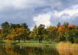 Colorful old autumn park