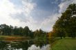 Colorful old autumn park
