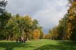 Colorful old autumn park