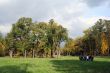 Colorful old autumn park