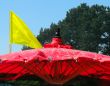 red parasol yellow flag