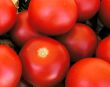 A bunch of tomatoes