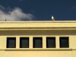 Architectural feature