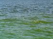 Dirty water
