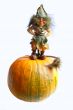 Hallowe`en gnome