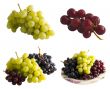 Fresh Isolated Grapes