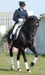 equestrian saddlewoman on black stallion
