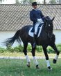 equestrian saddlewoman on black stallion