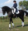 equestrian saddlewoman on black stallion