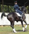 equestrian saddlewoman on black stallion