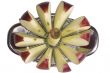 Sliced Apple 3